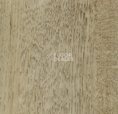 Кварцвиниловые полы Forbo Effekta Professional 0.45 4103 P Golden Harvest Oak PRO фото 1 | FLOORDEALER